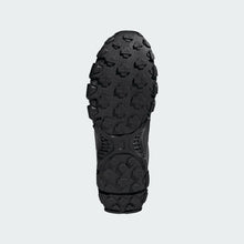 Load image into Gallery viewer, Terrex Rockadia Mens