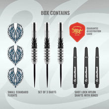 Load image into Gallery viewer, Birds of Prey Kite Steel Tip Dart Set