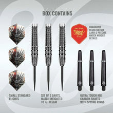 Load image into Gallery viewer, Gnarly Smasha Steel Tip Dart Set
