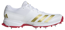 Load image into Gallery viewer, 22YDS Cricket Shoe
