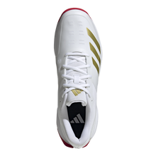 Load image into Gallery viewer, 22YDS Cricket Shoe
