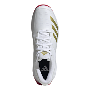 22YDS Cricket Shoe
