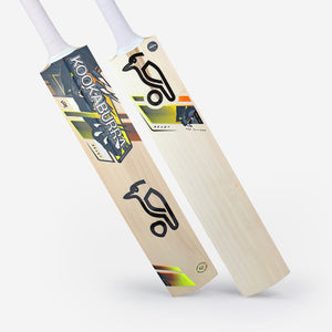 Beast Pro Players Senior Cricket Bat